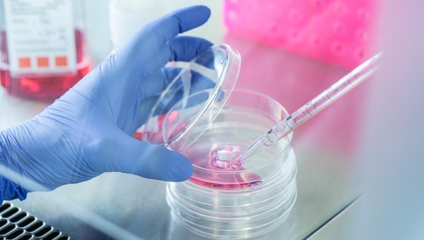 CMMC Center of Molecular Medicine Research